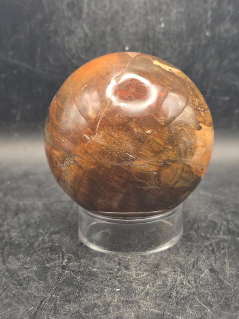 Petrified wood sphere! 68.4mm, 2.6 inches, 15.6 ounces