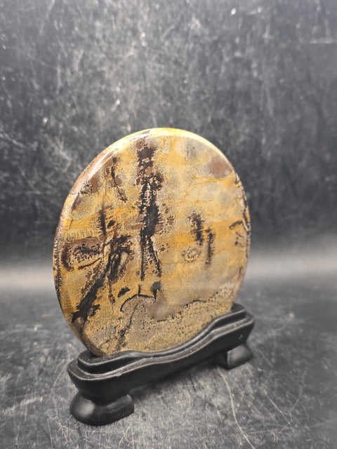 Natural picture jasper slab with stand! 4.6 ounces, 3.5 inches wide