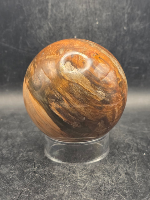 Petrified wood sphere! 68.4mm, 2.6 inches, 15.6 ounces
