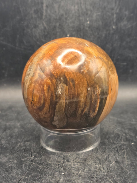 Petrified wood sphere! 68.4mm, 2.6 inches, 15.6 ounces