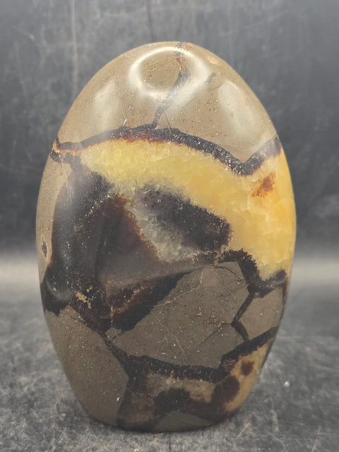Septarian stone free form! 1.5 pounds, 4.2 inches tall, 3" wide!