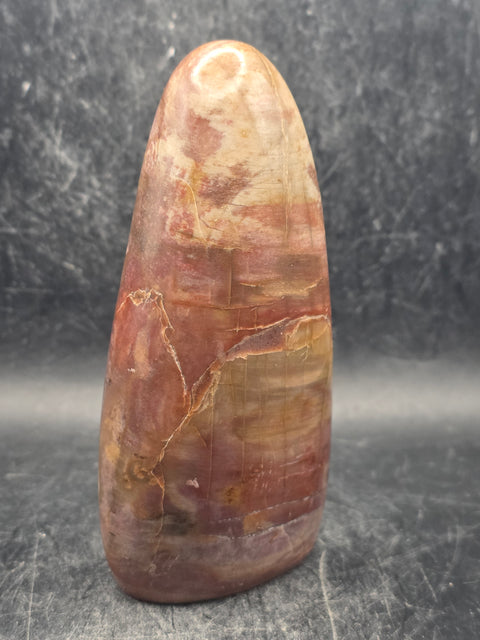 Petrified wood free form! 11.8 ounces, 4.2 inches tall, 2" wide