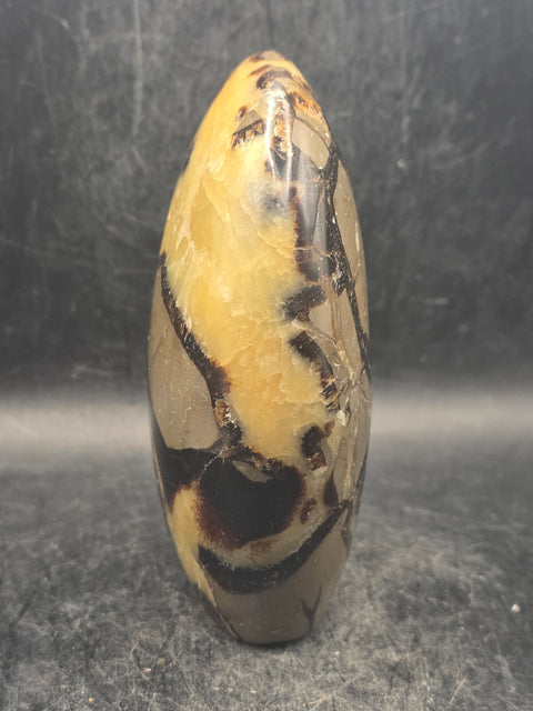 Septarian stone free form! 1.1 pounds, 4 inches tall, 3" wide