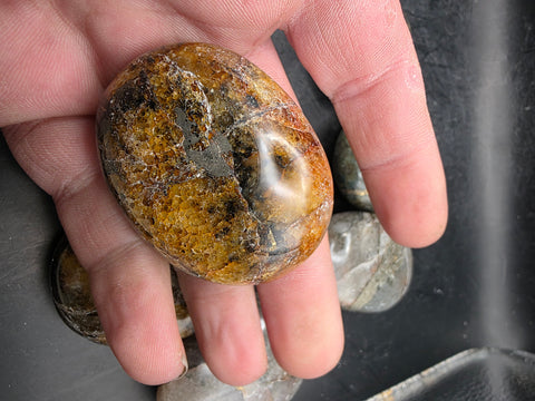 Golden healer pyrite palm stone! 1.8 to 2.2 inches