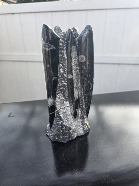 Orthoceras limestone statue! 3.5 pounds, 9 inches tall, 2.5" wide