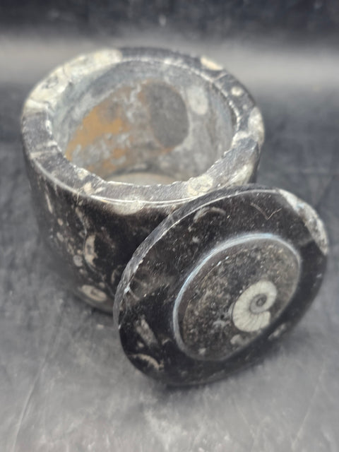 Small round fossil box! 2.4 inches tall, 2.3 inches wide, 8.6 ounces