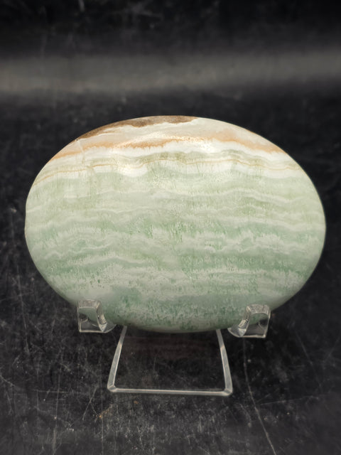 Caribbean calcite palm stone! 4.4 ounces, 2.7 inches long, 1.9" wide