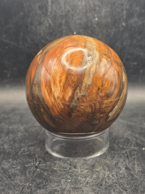 Petrified wood sphere! 68.4mm, 2.6 inches, 15.6 ounces