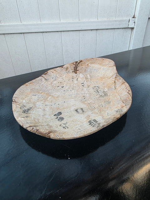 Small petrified wood plate! 9.5 inches by 7 inches, 1.5 pounds!