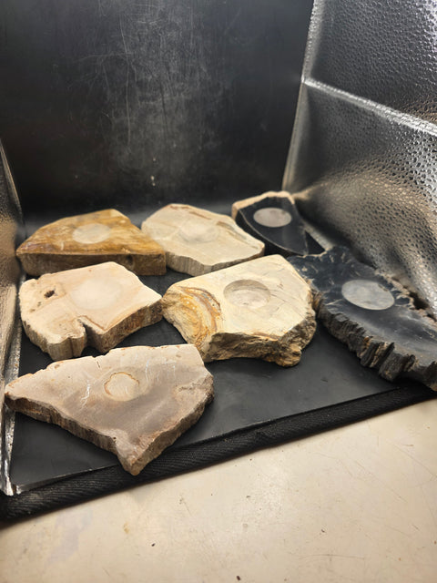 Petrified wood sphere holder! 4.2 too 5.2 inches!