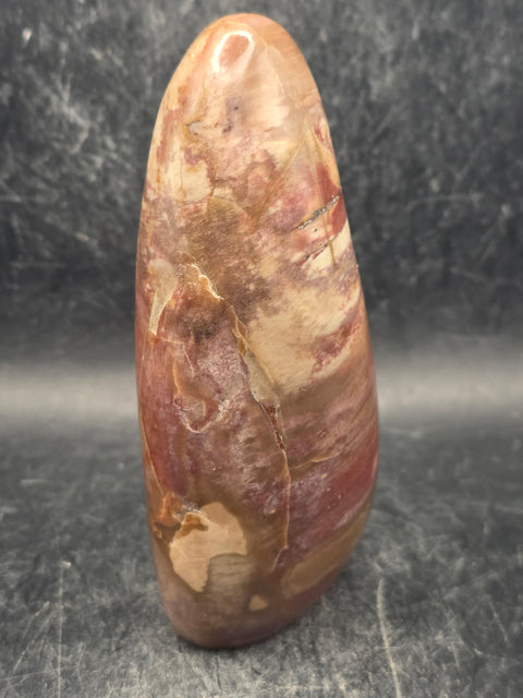 Petrified wood free form! 11.8 ounces, 4.2 inches tall, 2" wide