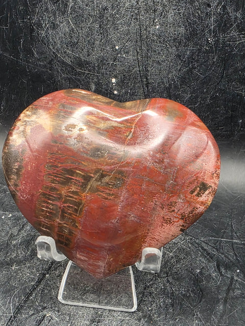 Petrified wood heart! 7.2 ounces, 3.1 inches wide by 2.7" tall