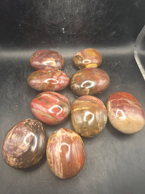 Petrified wood palm stone! 1.8 too 2.2 inches!