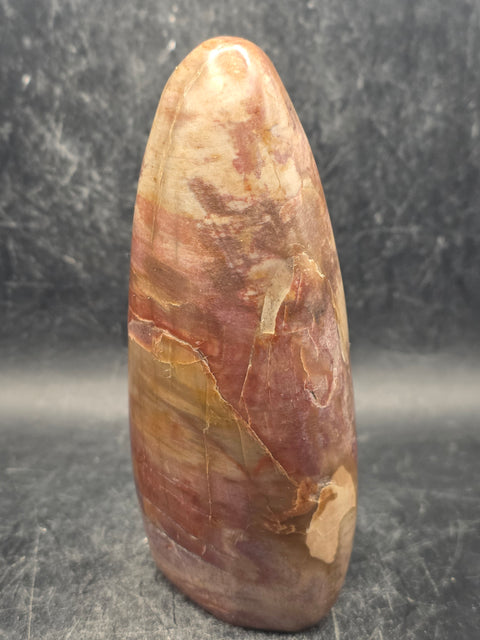 Petrified wood free form! 11.8 ounces, 4.2 inches tall, 2" wide