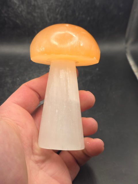 Large Peach top selenite mushroom! 3.9 inches tall