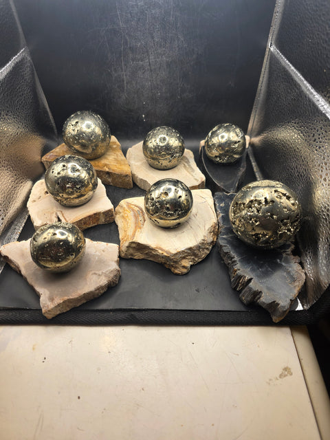 Petrified wood sphere holder! 4.2 too 5.2 inches!