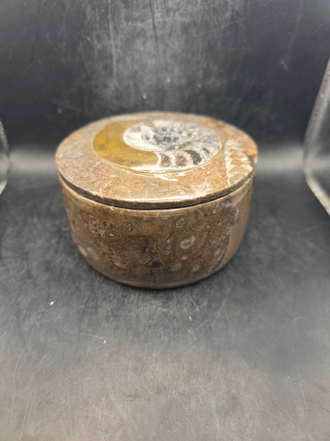 Extra large round fossil box! 4.3 inches wide, 1.12 pounds!