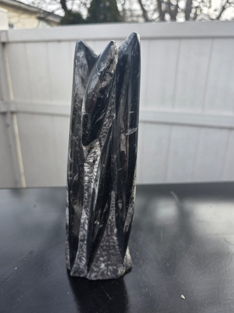 Orthoceras limestone statue! 3.5 pounds, 9 inches tall, 2.5" wide