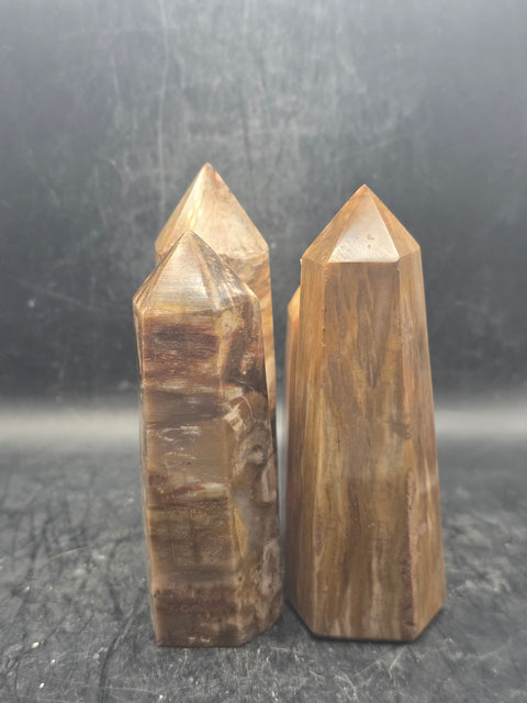Petrified wood tower! 3.7 to 4.2 inches!