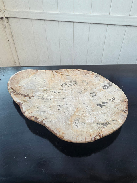 Small petrified wood plate! 9.5 inches by 7 inches, 1.5 pounds!
