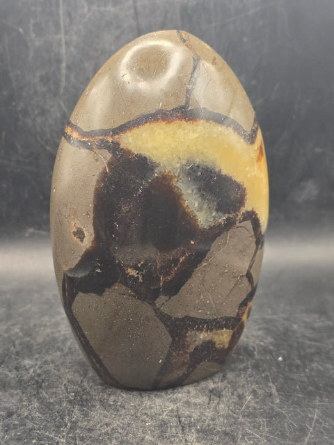 Septarian stone free form! 1.5 pounds, 4.2 inches tall, 3" wide!