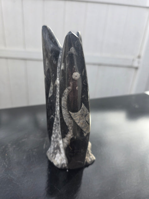 Orthoceras limestone statue! 1.14 pounds, 7 inches tall, 2.6" wide