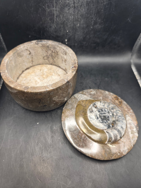 Extra large round fossil box! 4.3 inches wide, 1.12 pounds!