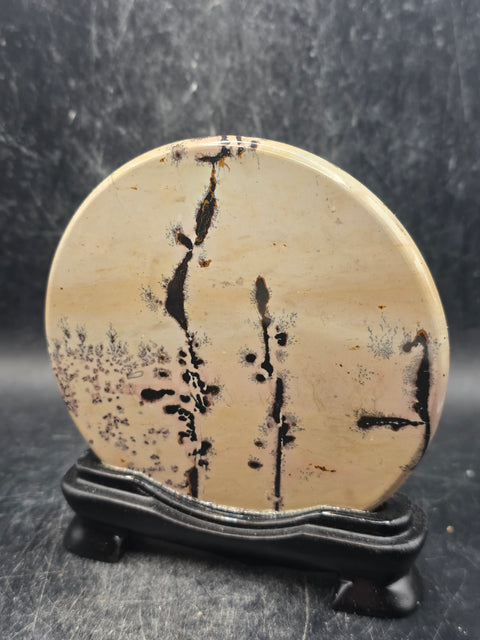 Natural picture jasper slab with stand! 4.9 ounces, 3.5 inches wide
