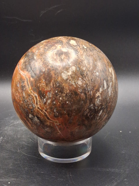 Large petrified wood sphere! 81mm, 3.1 inches, 1.8 pounds